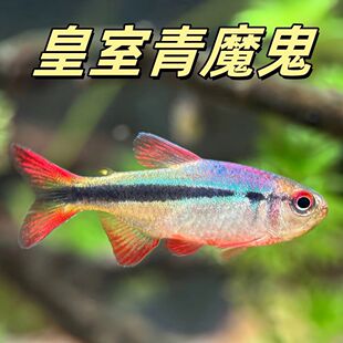 ���l������ħ����~���w�Ꭷ�^�p�~���������~Ⱥ���~�ɻ��B�O��