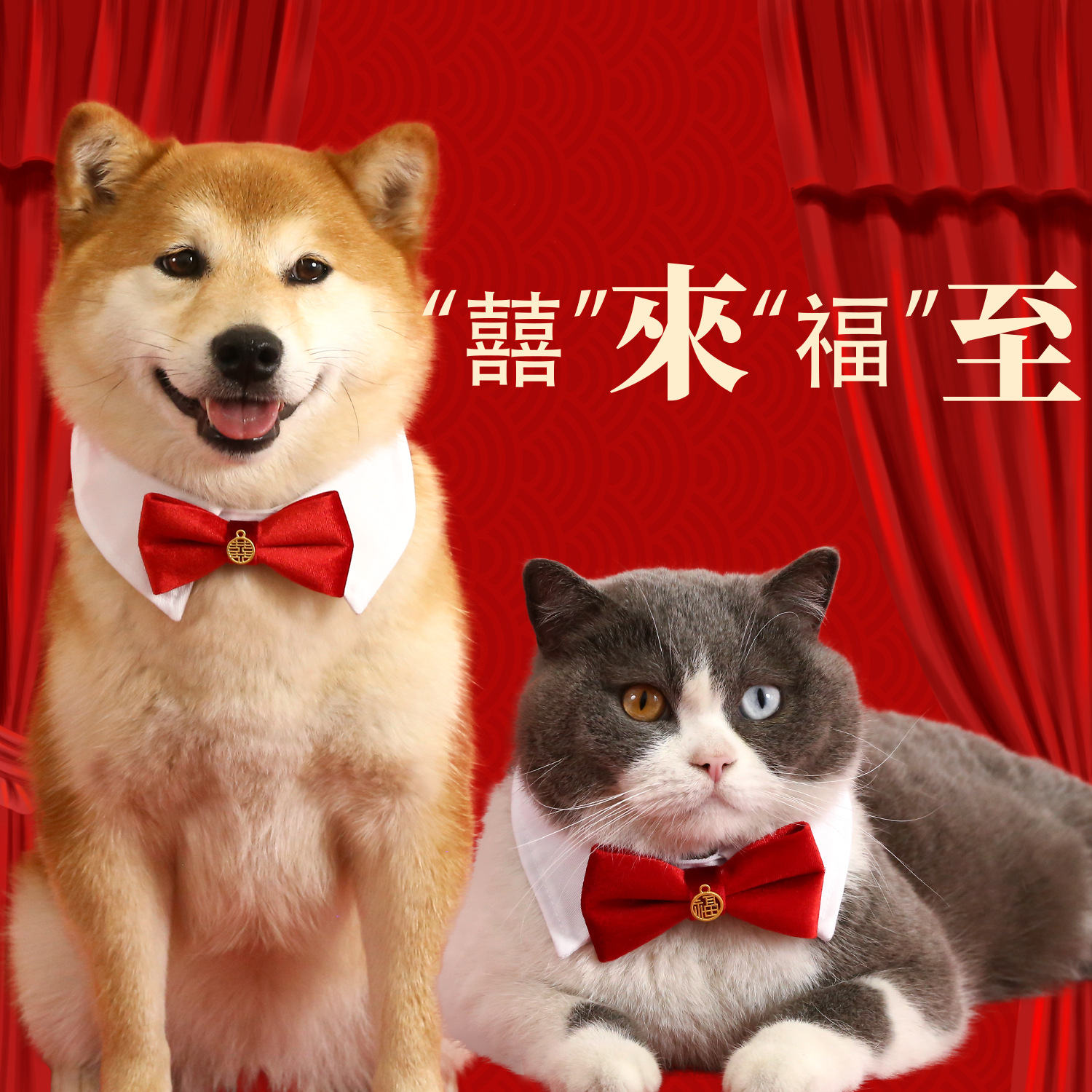 Mascotas de estilo chino, cuello de boda, cuello de arco, cuello de arco, perros, gatos, perros