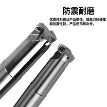 ⁺Ͻ�SD09���M�o�_��㊵��U���Ճȳ�ˮ���P�i���^SDMT09T307����