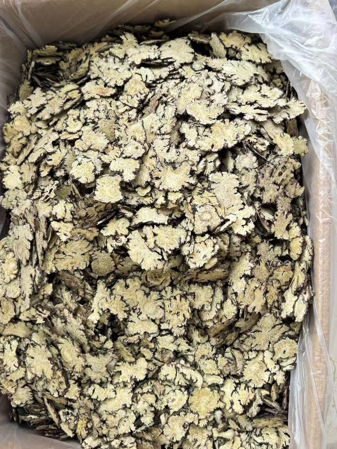 Chuan Xiong Sichuan Lovage Rhizome Slices Dried Herb for Decoction and Tea 500g key features