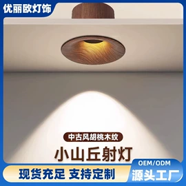 射灯;筒灯;磁吸轨道灯