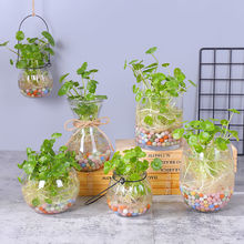 ˮ�໨�脓��ֲ���~�X�����bˮ�B�Gֲ�҃Ȼ������������ļ�����