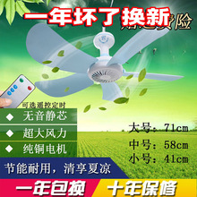 ���~5�~С�д���ȌW���ҾӌWУ�����Î����ʡ���С������L��