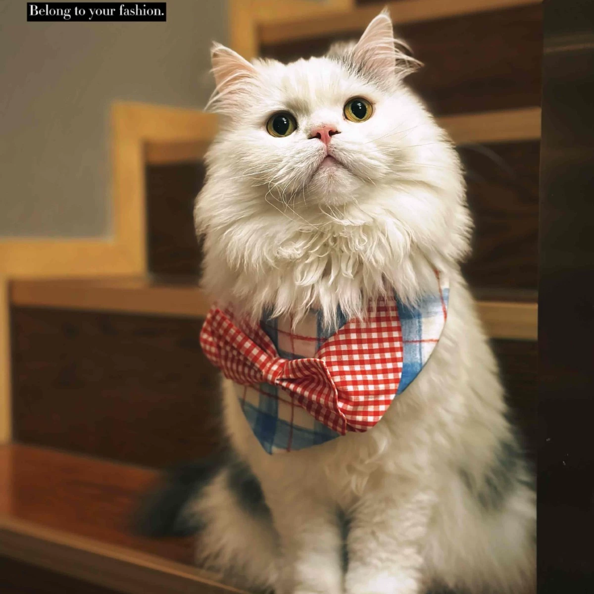 Трансграничный INS синяя клетка для домашних животных треугольное полотенце хлопчатобумажное полотенце для домашних животных кошачий собачий нагрудник для домашних животных