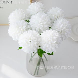 �����֦��ջ� ƹ�Ҿ� �羳���u�ٻ� �Ҿ��bzӰ���ߔ[���羳