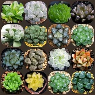 ��¶����ֲ�����Ԍ��u��¶�M�ϼ���¶����¶ˮ����¶�҃��Bֳ