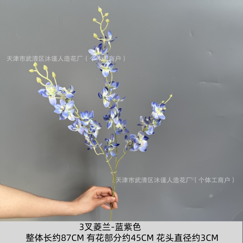 세 갈래의 마름모 난초