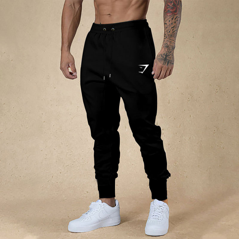 2025 New European and American Jogging Pants Men's Spring and Autumn Multi-color All-match Loose Outdoor Sports Casual Leg Trousers