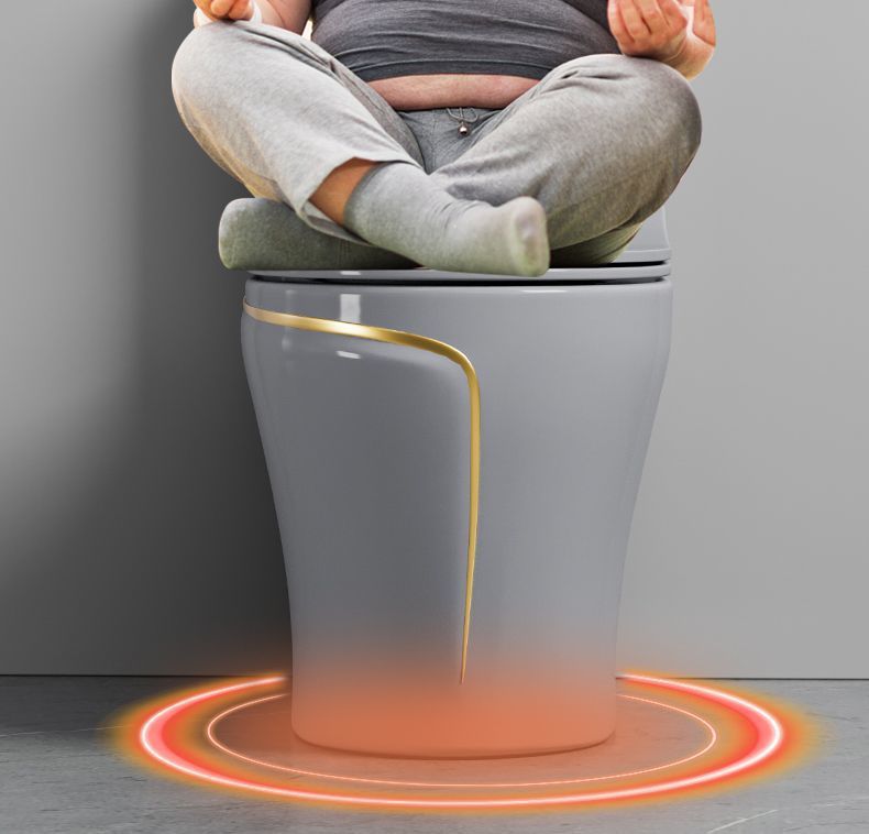 The toilet is a grey household water pump ceramic with a colorful siphonic anti-odor type. It is a high-flush toilet seat and toilet bowl undefined