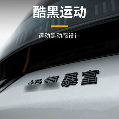 Car logo: modified matte metal car - black-frosted-metal-label-rich