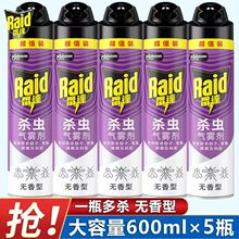 ���l���_���x���F���o��600ml���F򌚢�����nω�����Λρ�҃�