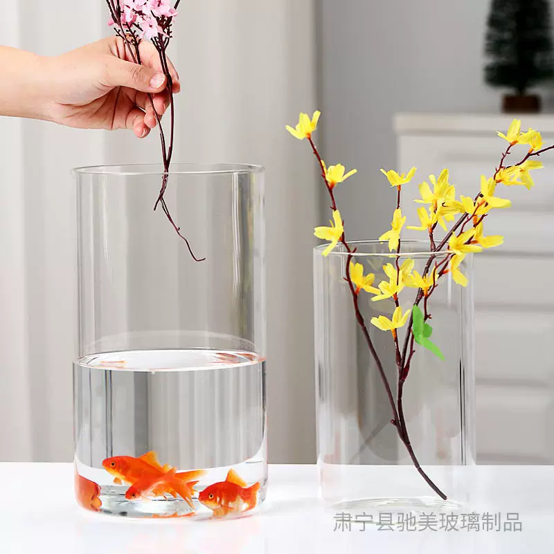 花瓶摆件客厅插花玻璃高级感透明水养轻奢高档鲜花现代简约网红