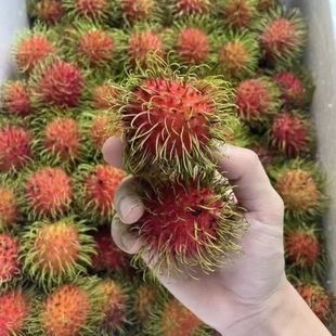 现货泰国进口红毛丹毛荔枝新鲜当季热带水果整箱批发顺丰包邮-阿里巴巴
