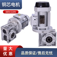 rv减速机小型减速器蜗轮蜗杆减速机电机一体机变速箱nmrv50 63 75