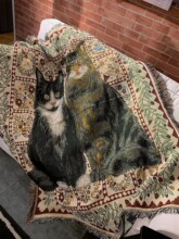 ���R�d���e̺�b�̺����ë̺���|�w̺ɳ�l̺ᘿ�̺tapestry