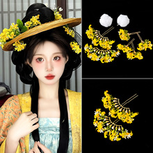 ���L�����Sɫ�𻨰l����b�h���^����Kë��l�AŮ����ʽ�������