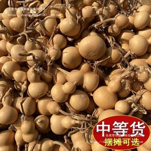 С���Jһ��؛Դ�����^��Ȼ����С����������ؔ����湩������ʢ��