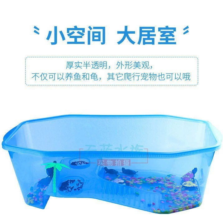 Коробка для черепах Экологический Ландшафтный резервуар с солнечным столом Танк для черепахи Коробка для черепах Домашняя черепаха Черепаха Коробка для оборота черепах Специальный восьмиугольник