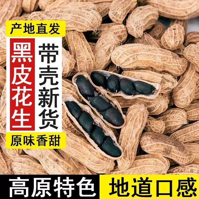 2024年云南新货黑米花生100克500克生花生一件代发大颗粒精选