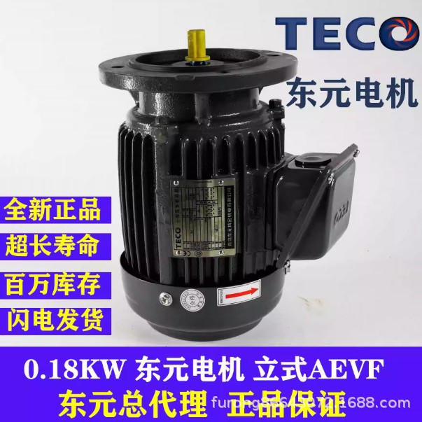 TECO东元电机0.37 0.75 1.5KW AEVF AEMV刹车制动马达电动机立式