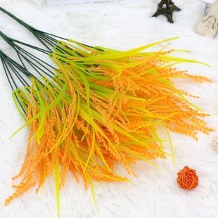 ��Ʒ7����S���浾�ȼ����뵾������65CMˮ������С���������