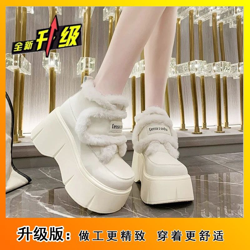 베이지 업그레이드 버전