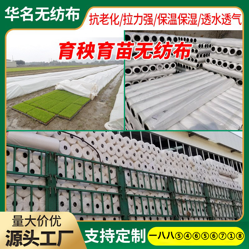 厂家供应 PP纺粘无纺布农用水稻育秧育苗防寒抗老化保湿保温透气