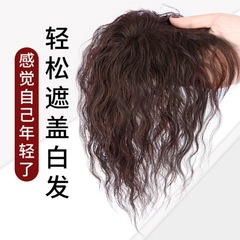 白髪カバー、巻き毛、人工毛、自然で跡が残らない、ふわふわ増毛、長持ちするカバーヘアピース、リフィルブロックウィッグ