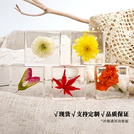 标本;树脂工艺品;工艺礼品项目