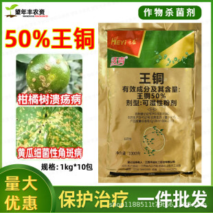 ���������������� 50%���~ �����S�Ͻǰ߲��rș������