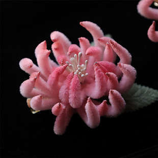 �½q���ջ����L�l�A����ʽ�ŵ仨��l�A���L�h����߅�A�c�Y����