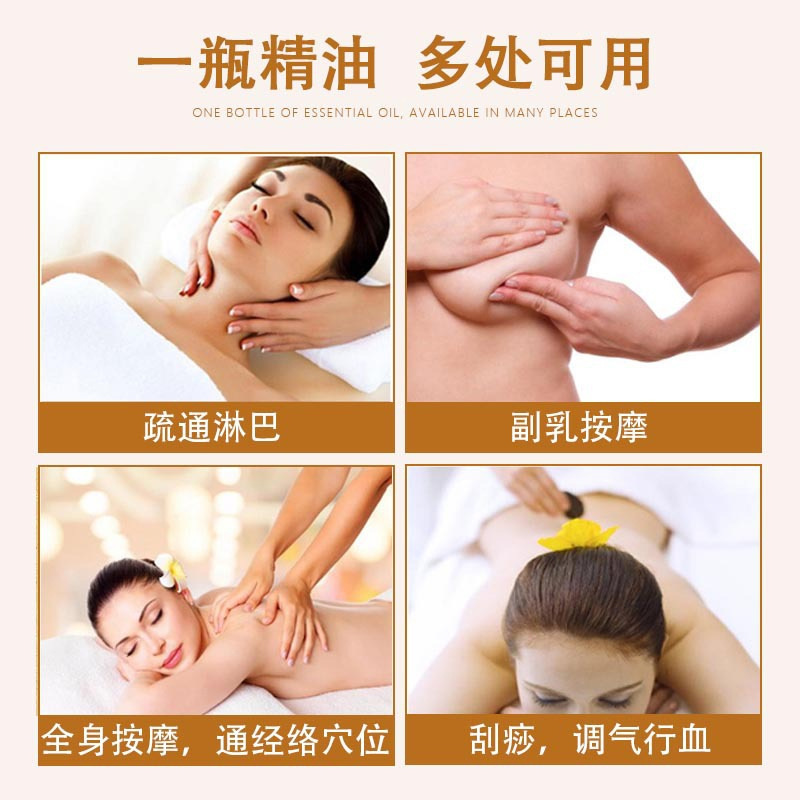 美容院専用精油 ボディケア 経絡疏通 刮痧マッサージ 植物配合 温熱精油 薬用オイル|undefined