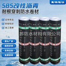 SֱSBSԞr͸̷ˮķNֲa©ˮ