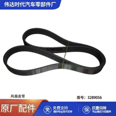 Belt Cummings 6CT8.3 engine