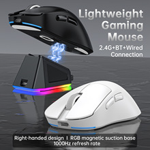 RGB ����ӧ�էߧѧ� 2.4G Bluetooth �ާ����