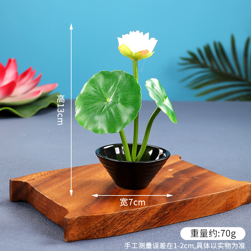 酒店菜品摆盘装饰点缀冷菜装饰花草摆盘刺身绿毛球三文鱼摆件围边|undefined