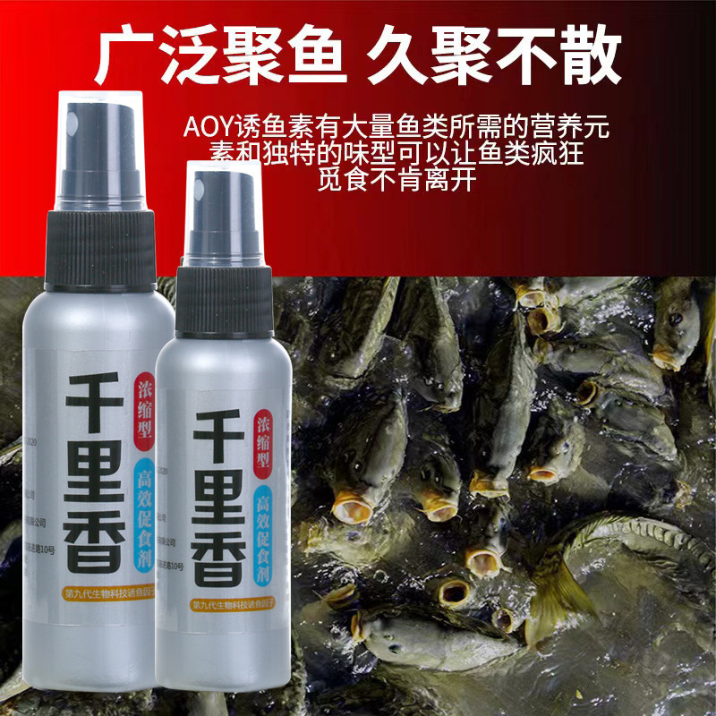 千里香浓缩型钓鱼小药 黑坑野钓水库草鱼鲤鱼鲫鱼窝料鱼饵|undefined