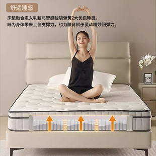 Simouse Simmons Flagship Version Hilton Five-Star Hotel Latex Spine Protection Independent Pocket Spring Mattress