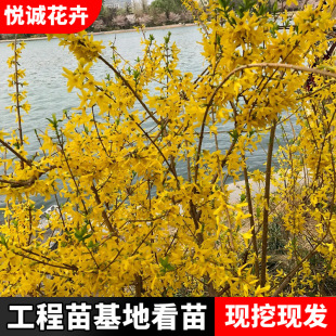 �B�N���S�ϻ����̾G����ľɫ�K�G�hֲ���ļ���߅�B�N������