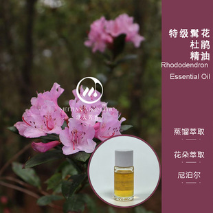 Organic �ؼ��׻����N����&middot;�Ჴ�� ���췼��ԭ�����l