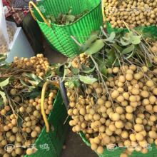 ���ڏV�����Qʯ�����ۮ������r�Fժˮ������һ�������l���]