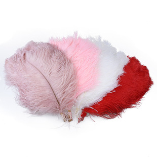 �Ϸ��¿��r�Bë40-45CMȾɫ�r�B��ë�x���F؛���l��ɫ�r�Bë�b�