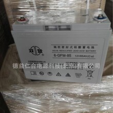 双登蓄电池 6-GFM-85 12V85H铅酸免维护