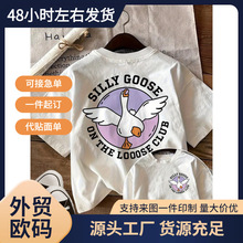 ���W�a��T���ļ���ͨ�L�Z��� SILLY GOOSEӡ��������Ů���mT��