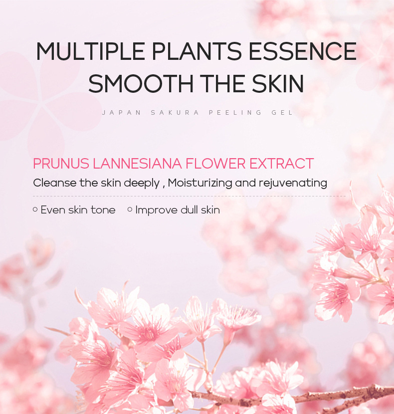 Cross-border LAIKOU Cherry Blossom 100g Body Exfoliating, Pore-cleansing, hydrating and moisturizing Skin care products Manufacturer wholesale undefined