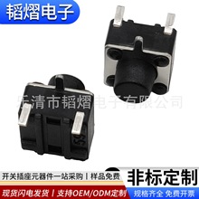 6×6×5TS-D008Dp|IǰN_P3_Ȱ͸ߜ΢_P