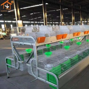 ���ͻ\�ӚWʽ�û\���ӷ�ֳ�\����ĸ�û\�N�÷�ֳ�\�������Bֳ�O��