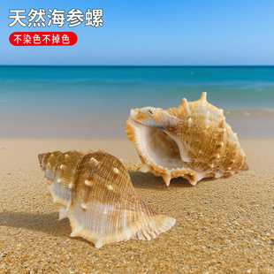 ��Ȼ���ݚ�����ݺ����ݴ����~���bҾ��ղغ���Y��[��ؐ��