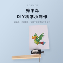 幼儿小学生科技小制作拉线笼中鸟DIY科学实验视觉暂留笼中鸟玩具