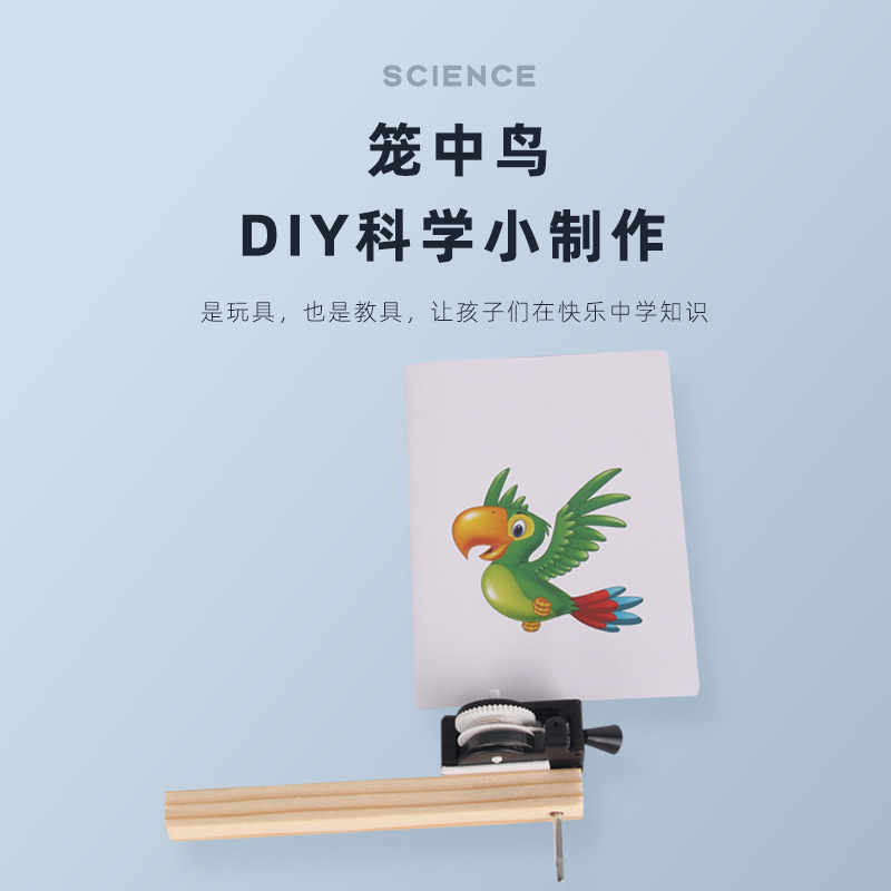 幼儿小学生科技小制作拉线笼中鸟DIY科学实验视觉暂留笼中鸟玩具